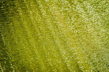 arka plan, parlak renkler