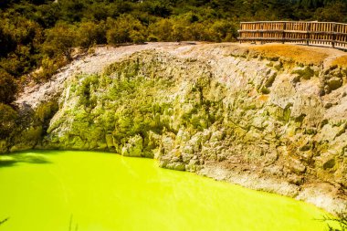 Wai-o-tapu jeotermal alanı