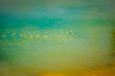 Wai-o-tapu jeotermal alanı