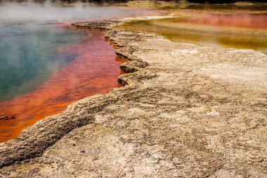 Wai-o-tapu jeotermal alanı