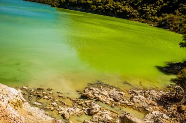 Wai-o-tapu jeotermal alanı
