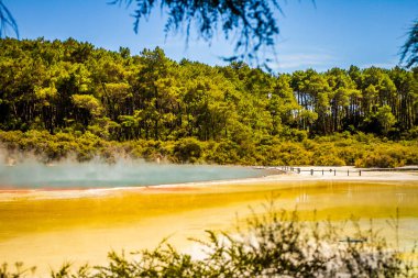 Wai-o-tapu jeotermal alanı