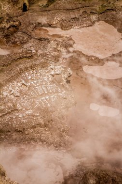 Wai-o-tapu jeotermal alanı