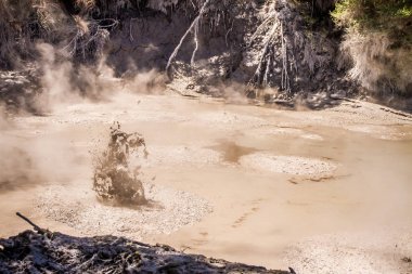 Rotorua çamur Havuzu