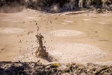 Rotorua çamur Havuzu