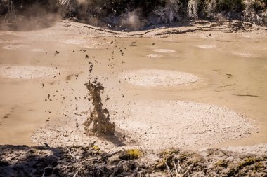 Mud pool in Rotorua clipart