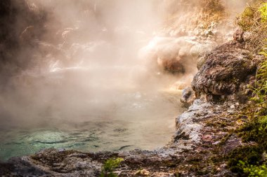 Orakei korako geotermal Vadisi 