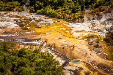 Orakei korako geotermal Vadisi 