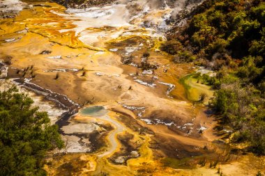 Orakei korako geotermal Vadisi 