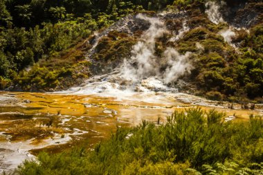 Orakei korako geotermal Vadisi 