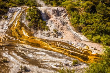 Orakei korako geotermal Vadisi 