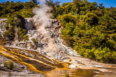 Orakei korako geotermal Vadisi 