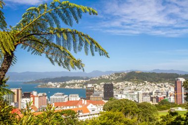 Wellington teleferik