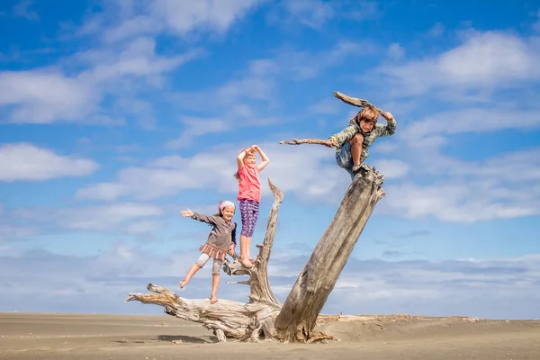 Kids standing on driftwood in valley — Stock Photo, Image