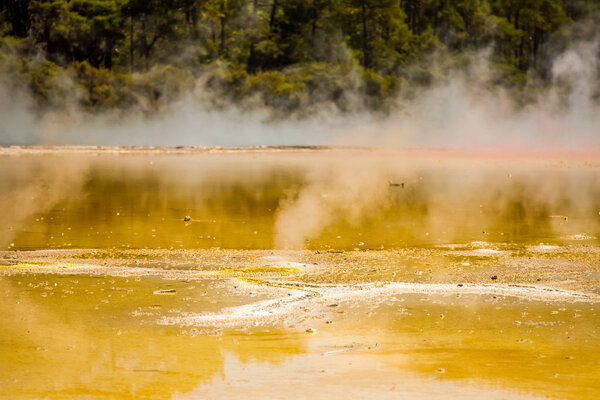 Wai-o-tapu geothermal area