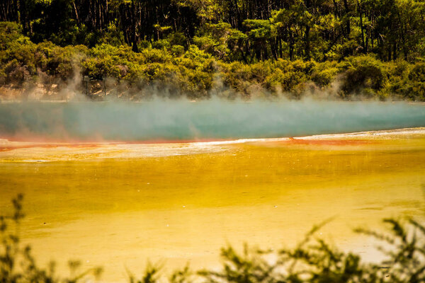 Wai-o-tapu geothermal area