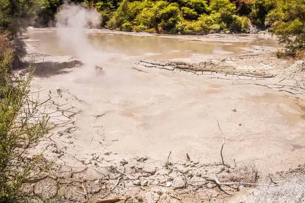 Mud pool in Rotorua — Stock Photo, Image