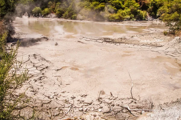 Πισίνα λάσπη σε Rotorua — Φωτογραφία Αρχείου