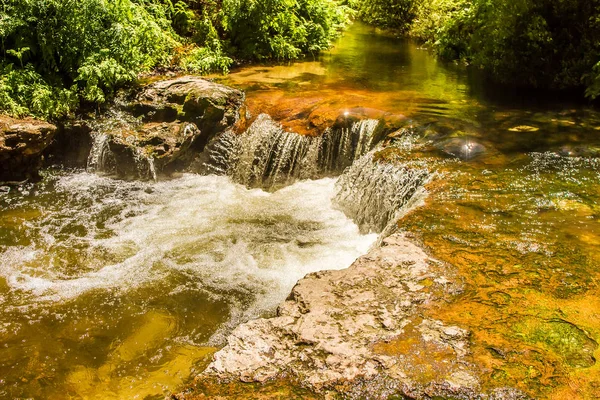 Río termal en el bosque — Foto de Stock