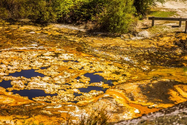 Orakei korako geotermal Долина — стокове фото