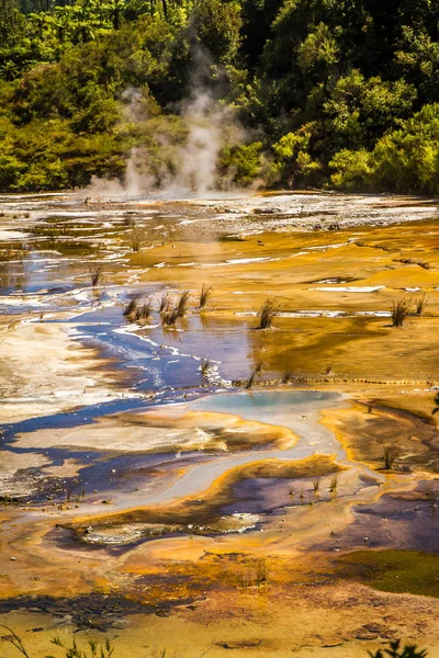 Orakei korako geotermal Dolina — Zdjęcie stockowe