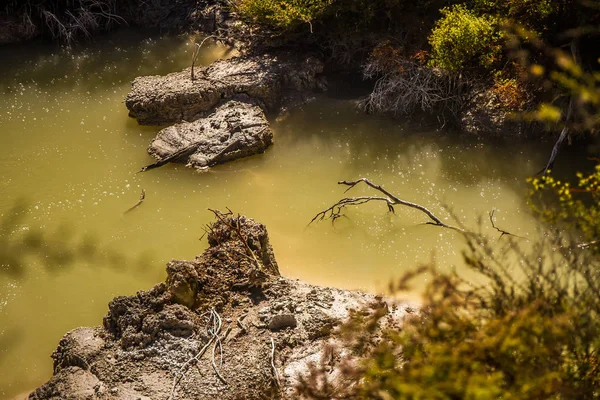 Orakei korako geotermal κοιλάδα — Φωτογραφία Αρχείου