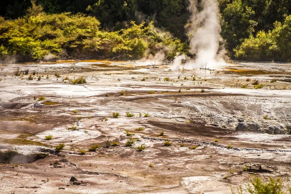 Orakei Korako geotermal valley — Stock Photo, Image