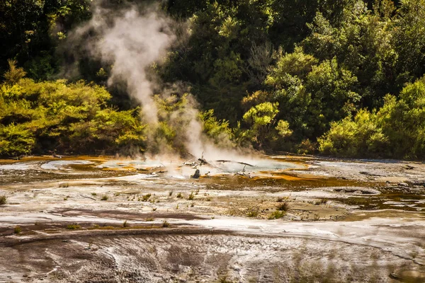Orakei korako geotermales Tal — Stockfoto