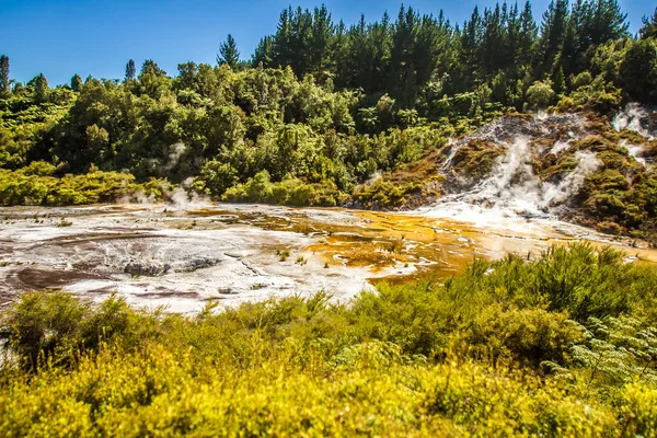 Orakei korako geotermal Долина — стокове фото