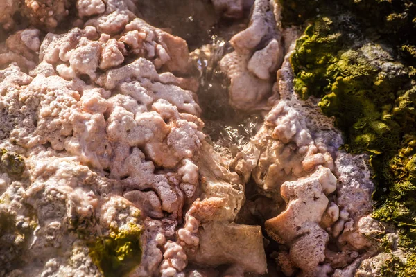 Valle geotermica di Orakei Korako — Foto Stock