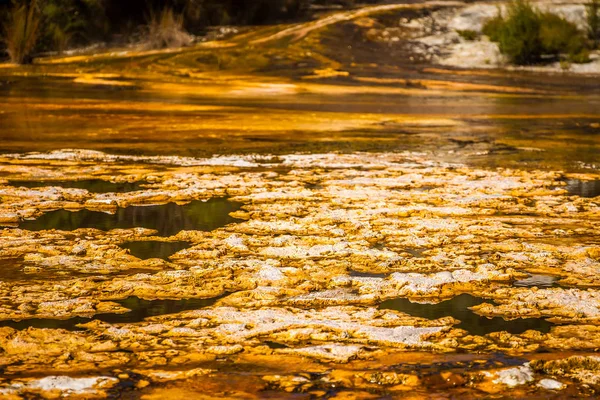 Orakei korako vale geotermal — Fotografia de Stock