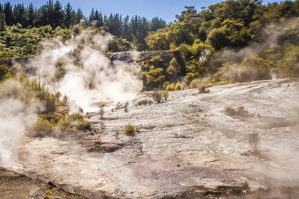 Orakei korako geotermal Долина — стокове фото