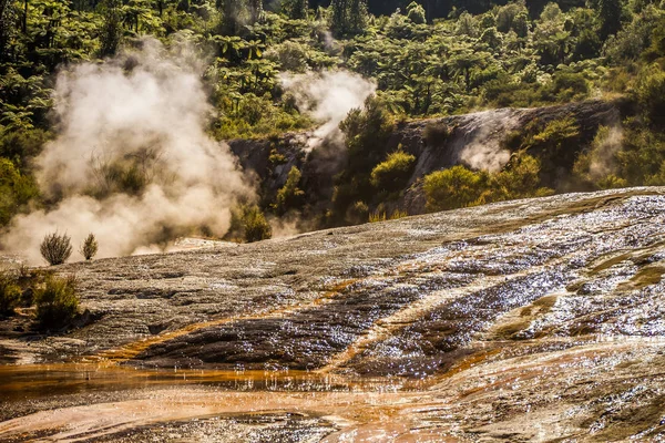 Orakei korako vale geotermal — Fotografia de Stock