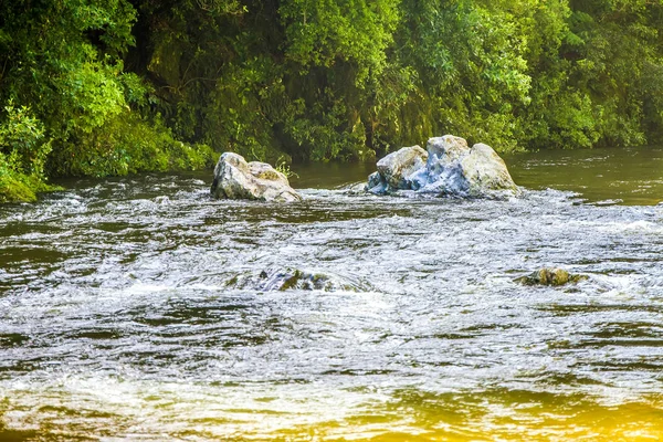 Prachtige streaming rivier — Stockfoto