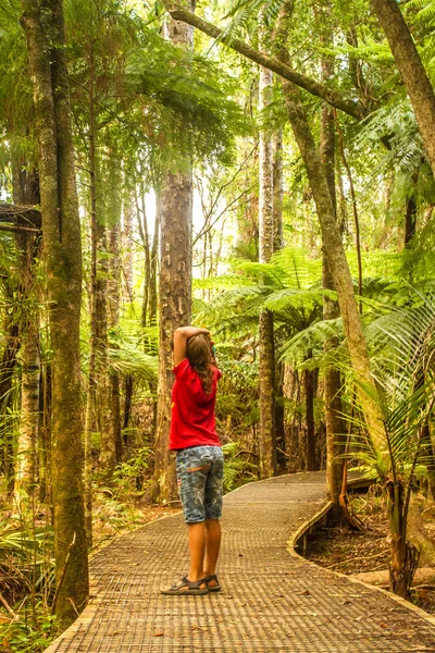 경로 의해 숲에서 산책 하는 소년 — 스톡 사진