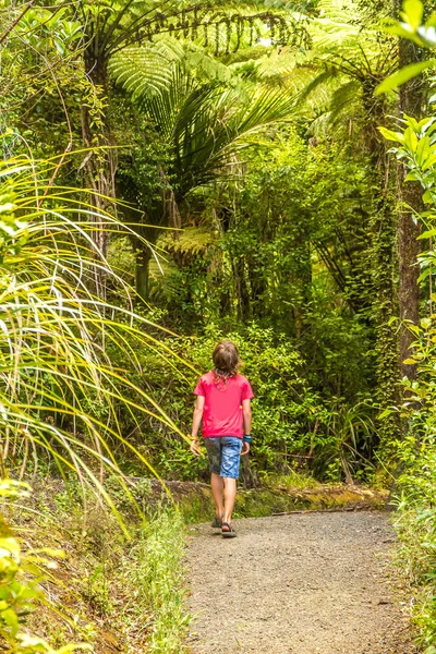 Young boy walking by path — Stock Photo, Image