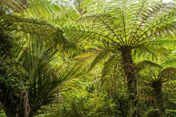 Bellissimo paesaggio astratto — Foto Stock