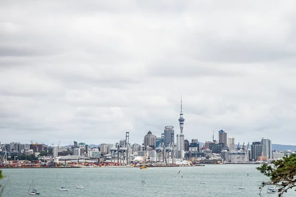 Modern Auckland city — Stock Photo, Image