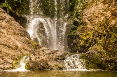 güzel su ormanında sonbahar