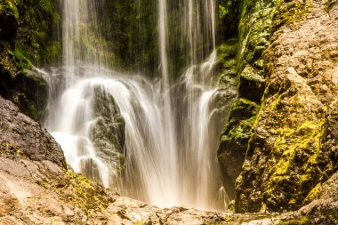 güzel su ormanında sonbahar