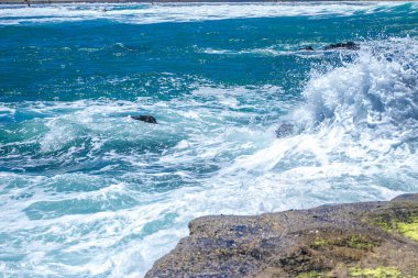 Taşlı bir sahilde dalgalar kopuyor.