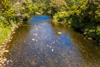 Kerikeri, Bay Islands görünümünü