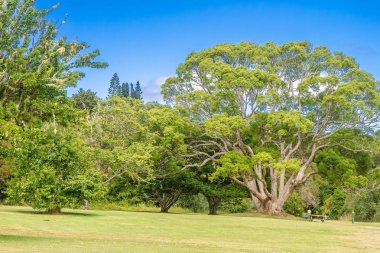 Kerikeri, Bay Islands görünümünü
