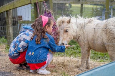 Genç kız ve erkek pony besleme