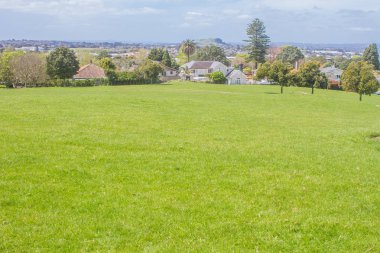 Parkta yeşil ağaçlar