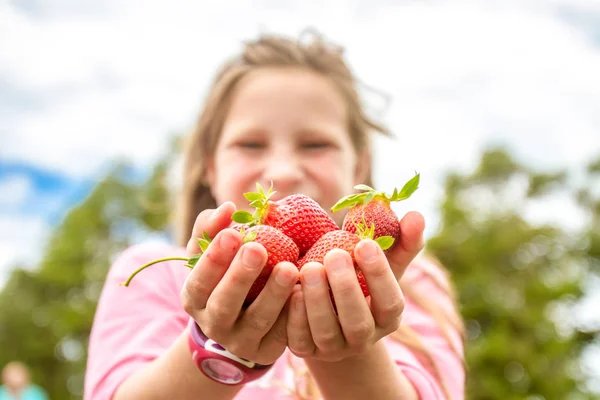 Happy young child girl picking and eating strawberries — Stock Photo, Image