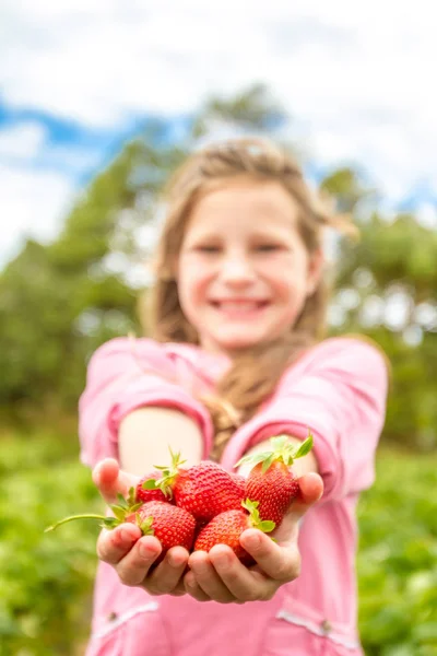 Happy young child girl picking and eating strawberries — Stock Photo, Image