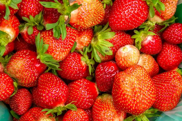 Pile of Red Strawberries — Stock Photo, Image