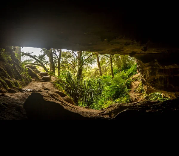 Entrada a las cuevas de Waipú — Foto de Stock