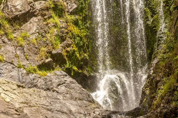 Vackra vattnet faller i skogen — Stockfoto